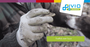 Wereldschoolvlogster Suus Truffels